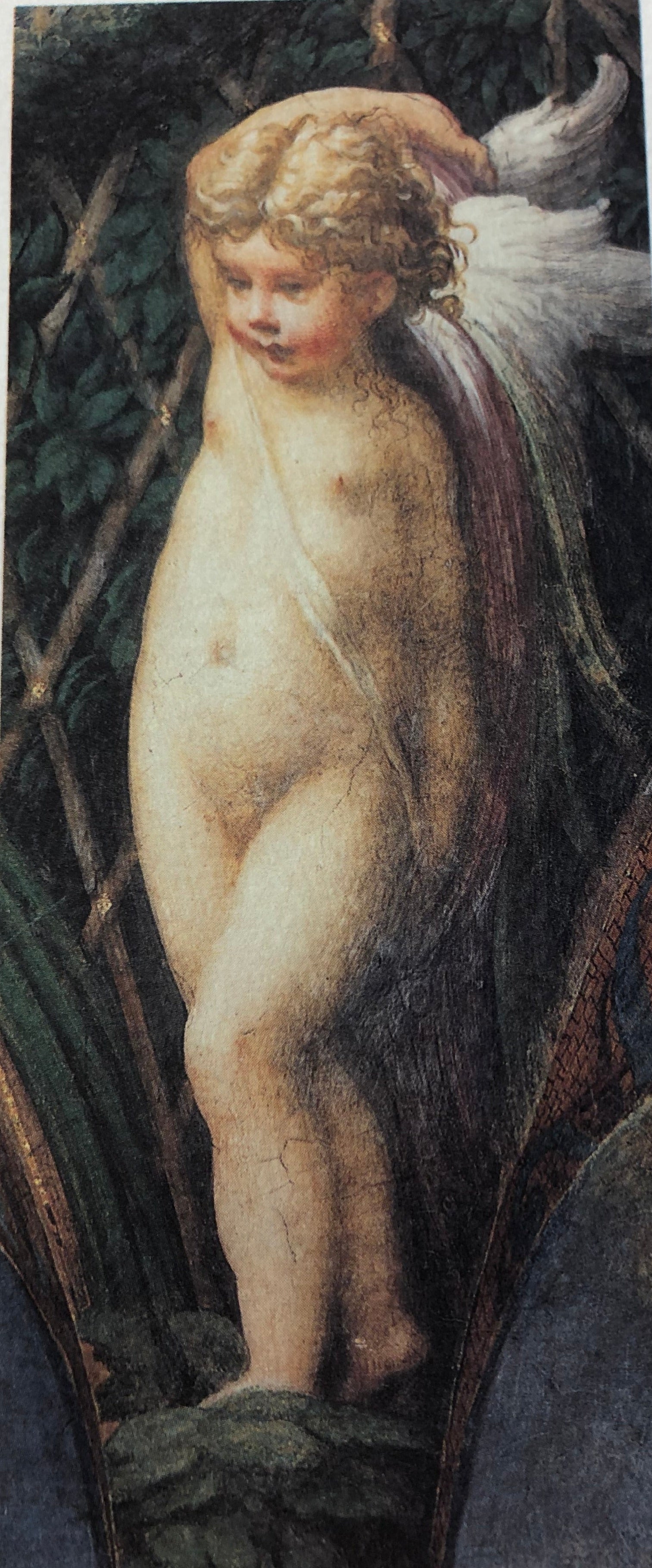 Tessuto stampato a mano - Parmigianino - Particolare dell'affresco nella Rocca dei Sanvitale (Fontanellato)