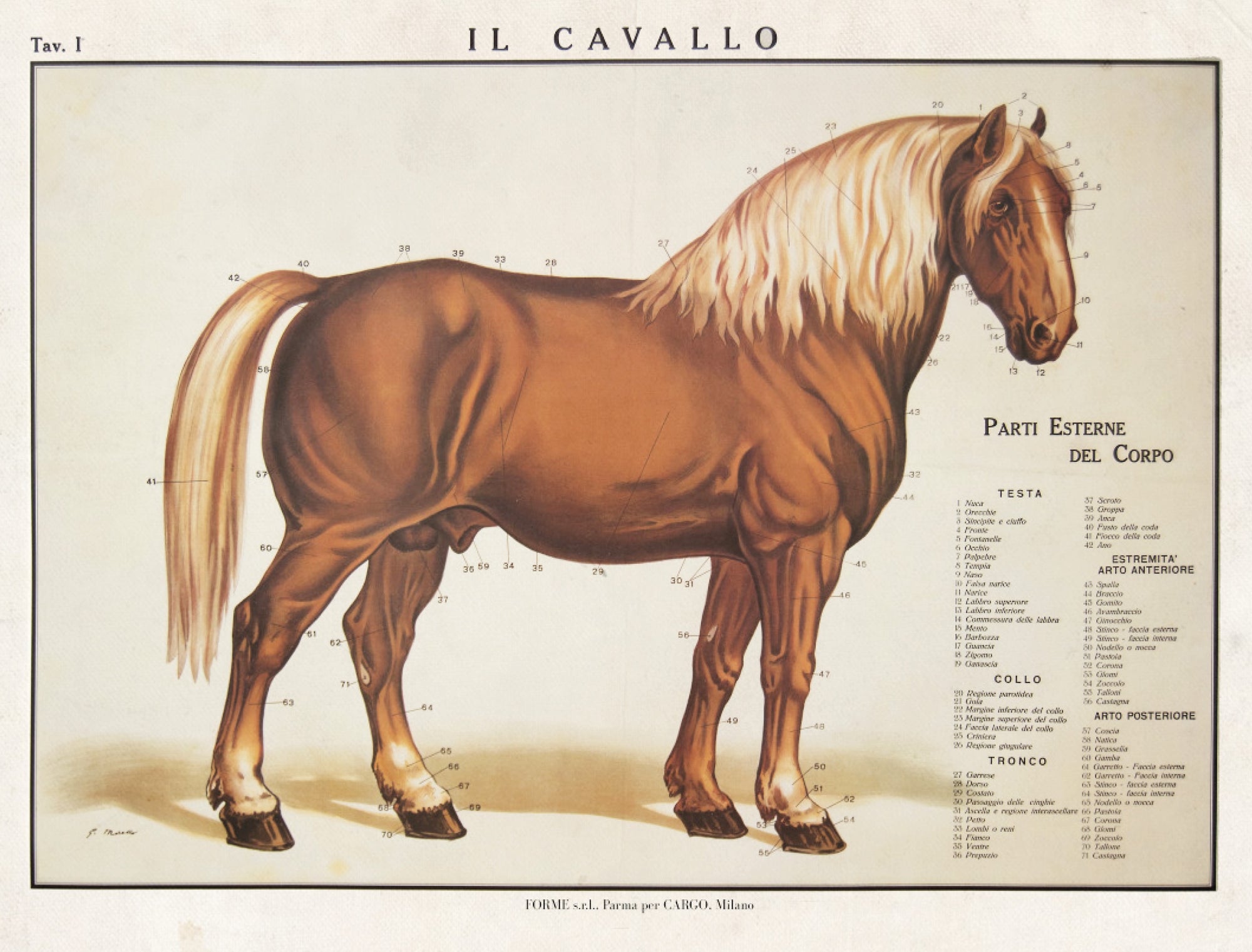 Manifesto Vintage - Il Cavallo - That's Italia