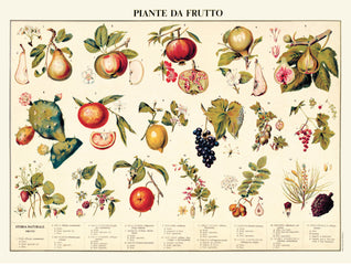 Manifesto - Piante da frutto - That's Italia
